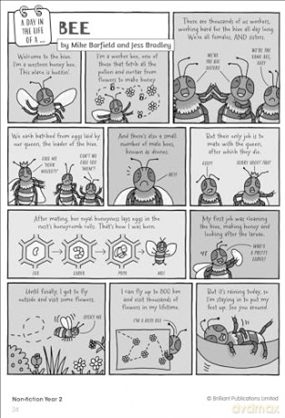 Developing Reading Comprehension Skills - Kate Heap [KSIĄŻKA]