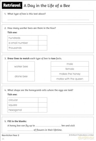 Developing Reading Comprehension Skills - Kate Heap [KSIĄŻKA]