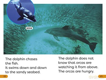 Diving Dolphin Level 1 - Dk [KSIĄŻKA]