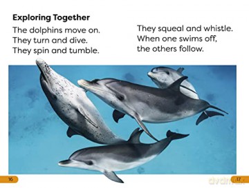 Diving Dolphin Level 1 - Dk [KSIĄŻKA]