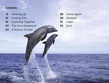 Diving Dolphin Level 1 - Dk [KSIĄŻKA]