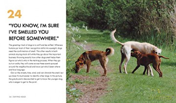Dog Body Language 100 Ways To Read The - Trevor Warner [KSIĄŻKA]