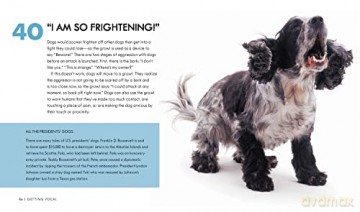 Dog Body Language 100 Ways To Read The - Trevor Warner [KSIĄŻKA]