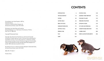 Dog Body Language 100 Ways To Read The - Trevor Warner [KSIĄŻKA]