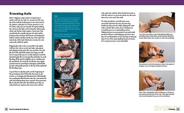 Dog Grooming For Beginners - Jorge Bendersky [KSIĄŻKA]