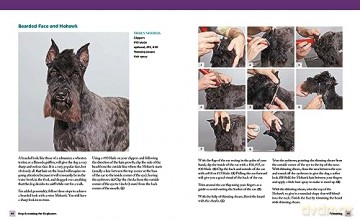 Dog Grooming For Beginners - Jorge Bendersky [KSIĄŻKA]