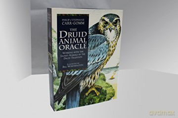 Druid Animal Oracle - Philip Carr-Gomm [KSIĄŻKA]