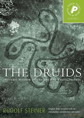Druids [KSIĄŻKA]