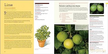 Edible Houseplants - Byron E. Martin Laur [KSIĄŻKA]