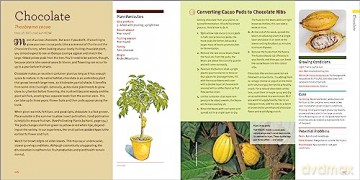 Edible Houseplants - Byron E. Martin Laur [KSIĄŻKA]