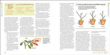 Edible Houseplants - Byron E. Martin Laur [KSIĄŻKA]