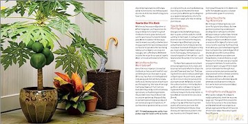 Edible Houseplants - Byron E. Martin Laur [KSIĄŻKA]