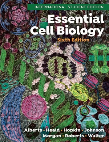 Essential Cell Biology - Alberts Bruce [KSIĄŻKA]