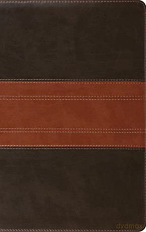 Esv Large Print Personal Size Bible [KSIĄŻKA]
