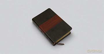Esv Large Print Personal Size Bible [KSIĄŻKA]