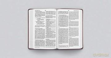 Esv Lp Value Thinline Bible Tt Mah [KSIĄŻKA]