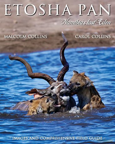 Etosha Pan - Malcolm Collins [KSIĄŻKA]