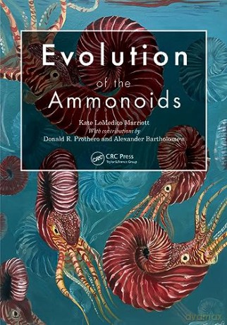 Evolution Of The Ammonoids - Kate Lomed Marriott [KSIĄŻKA]