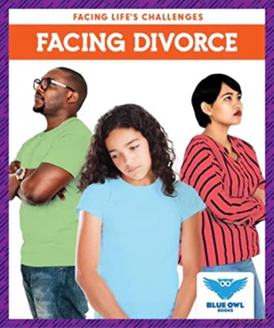Facing Divorce [KSIĄŻKA]