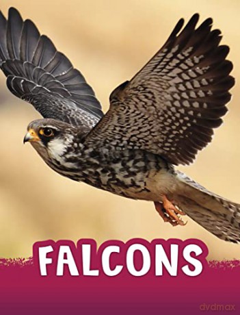 Falcons - Jaclyn Jaycox [KSIĄŻKA]