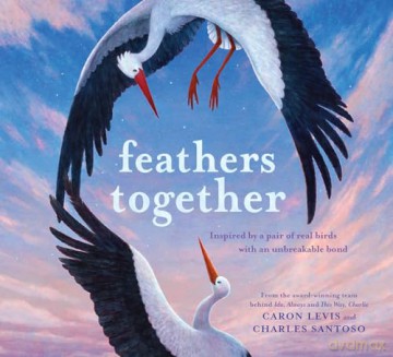 Feathers Together - Caron Levis [KSIĄŻKA]