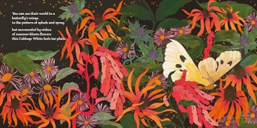 Fly Butterfly Fly - Dom Conlon [KSIĄŻKA]
