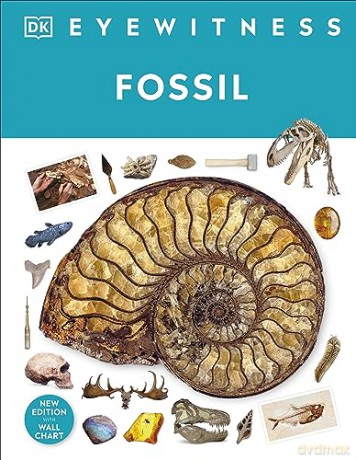 Fossil - Dk [KSIĄŻKA]