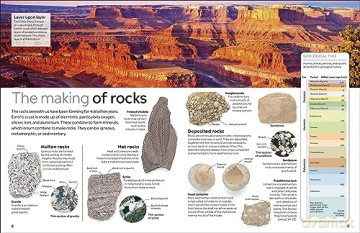 Fossil - Dk [KSIĄŻKA]