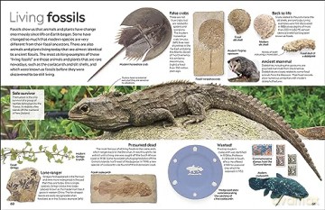 Fossil - Dk [KSIĄŻKA]