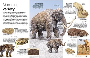 Fossil - Dk [KSIĄŻKA]