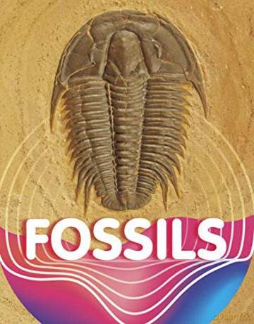 Fossils - Sipperley Keli [KSIĄŻKA]