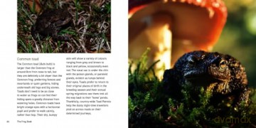 Frog Book - Jo Byrne [KSIĄŻKA]