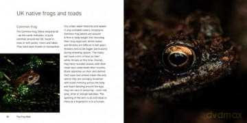 Frog Book - Jo Byrne [KSIĄŻKA]
