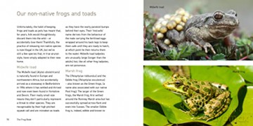 Frog Book - Jo Byrne [KSIĄŻKA]