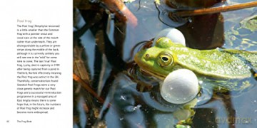 Frog Book - Jo Byrne [KSIĄŻKA]