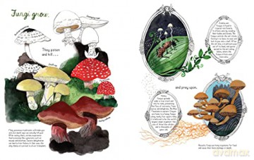Fungi Grow - Maria Gianferrari [KSIĄŻKA]