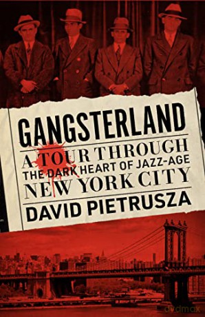 Gangsterland [KSIĄŻKA]