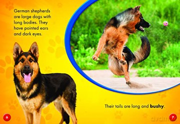 German Shepherds - Chris Bowman [KSIĄŻKA]