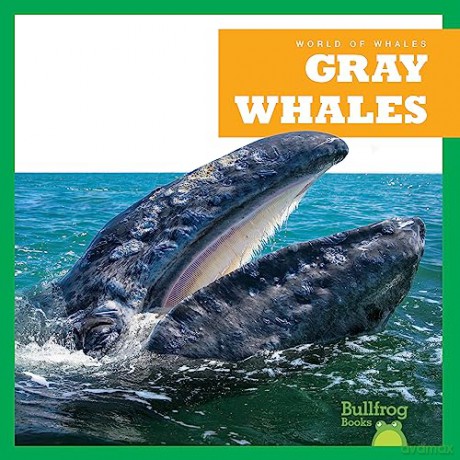 Gray Whales - Eliza Leahy [KSIĄŻKA]