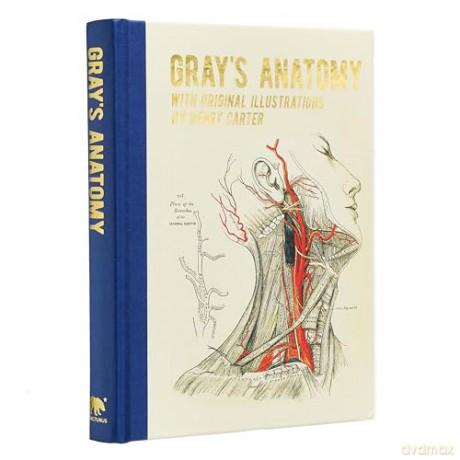 Grays Anatomy - Henry Gray [KSIĄŻKA]