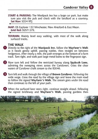 Guide To Hampshire/New Forest Pub Walks - Ruth Paley [KSIĄŻKA]