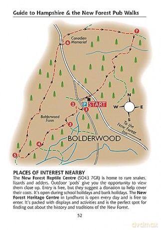 Guide To Hampshire/New Forest Pub Walks - Ruth Paley [KSIĄŻKA]