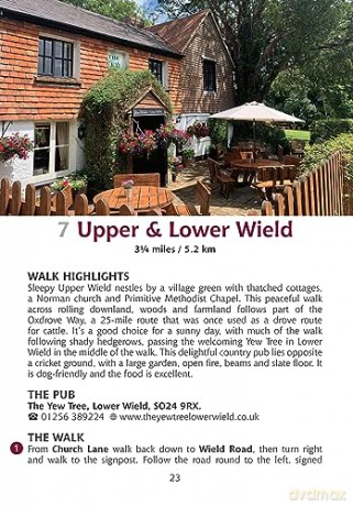 Guide To Hampshire/New Forest Pub Walks - Ruth Paley [KSIĄŻKA]