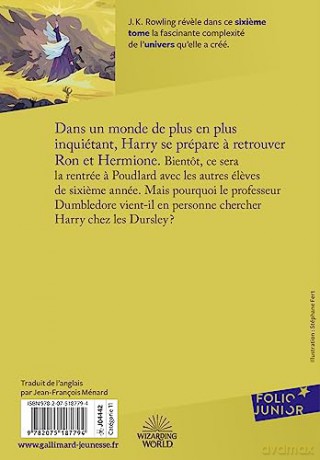Harry Potter Et Le Prince De Sangmele 6 - Rowling J K [KSIĄŻKA]