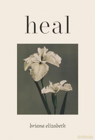 Heal - Briana Elizabeth [KSIĄŻKA]