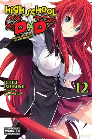 High School Dxd Vol 12 - Ichiei Ishibumi [KSIĄŻKA]