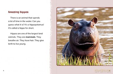 Hippos - Jaclyn Jaycox [KSIĄŻKA]