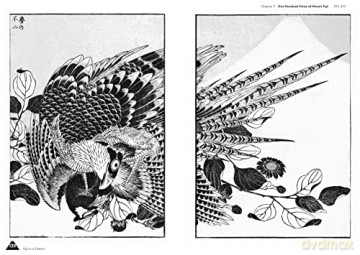 Hokusais Fuji - Katsushika Hokusai [KSIĄŻKA]