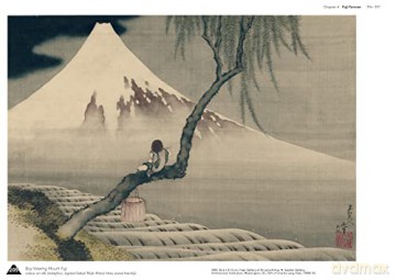 Hokusais Fuji - Katsushika Hokusai [KSIĄŻKA]