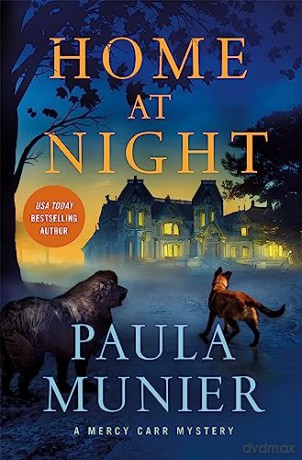 Home At Night - Paula Munier [KSIĄŻKA]